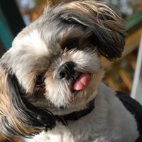 Debra Kitts Photo 12