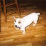 Stephen Sparks Photo 52