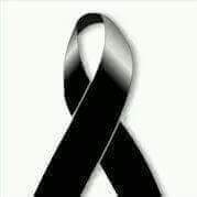 Patricia Cortese Photo 15