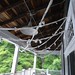 Catherine Muth Photo 15