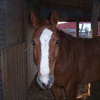 Fredrick Henderson Photo 6