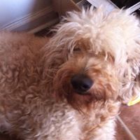 Cindy Deloach Photo 8