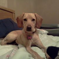 Danielle Walters Photo 8