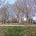 Cedric Harvey Photo 16