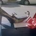 Alison Downey Photo 29