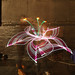 Kelly Skinner Photo 33