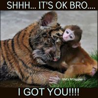 Cassandra Lang Photo 24