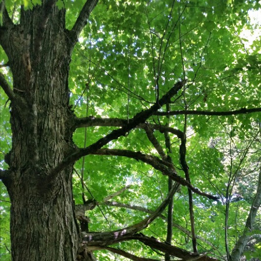 John Clarke Photo 59