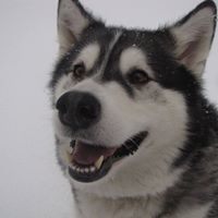 Bonnie Benoit Photo 12