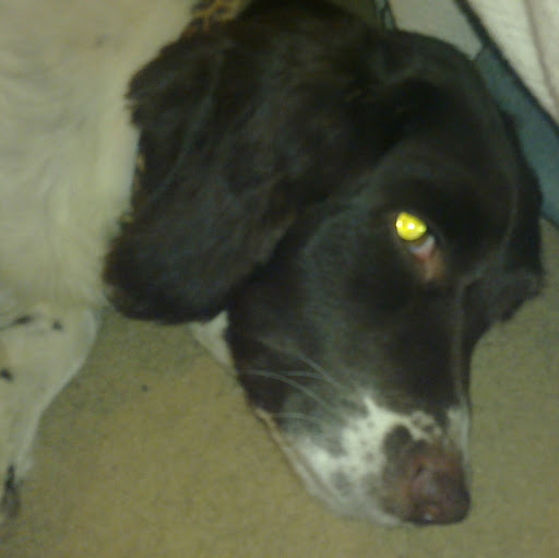 Paul Rawlins Photo 26