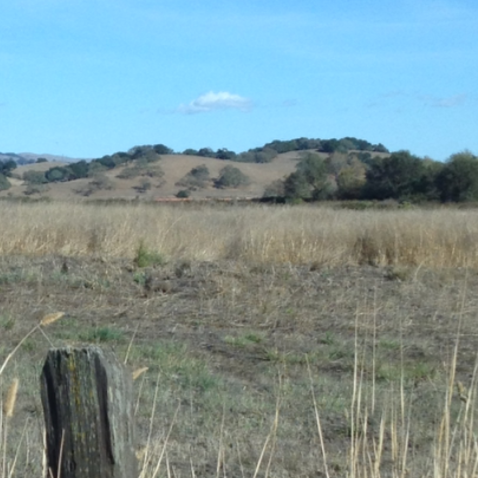 Christopher Macleod Photo 25