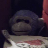 Julia Crumley Photo 10