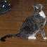 Nancy Rubinstein Photo 2