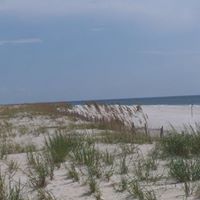 Tina Phillips Photo 19