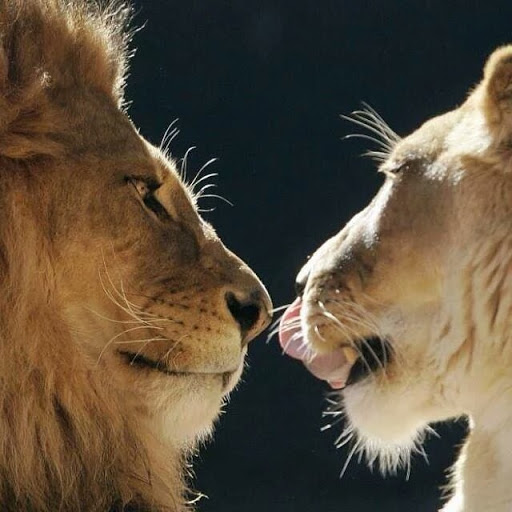 Ralph Torres Photo 34