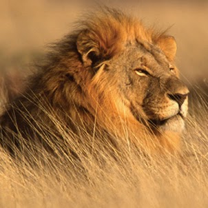 Cristina Kelly Photo 35