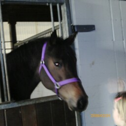 Rene Joseph Photo 12