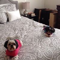Deborah Moyer Photo 19