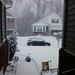 Shelley Wright Photo 26