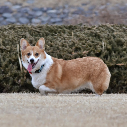 Hernan Rebaza Photo 2