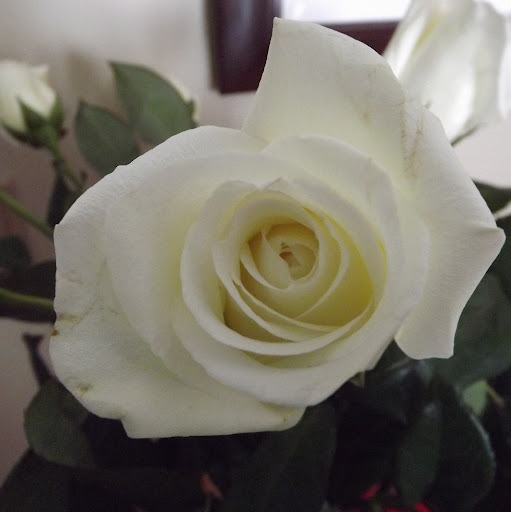 Kelly Riley Photo 37