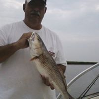Robert Cowart Photo 17