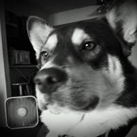 Jorge Villarreal Photo 25