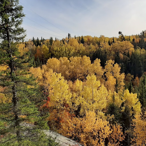 Ellen Houston Photo 3