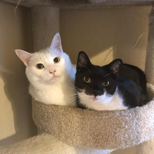 Katie Wagner Photo 7 Katie Wagner Photo 7