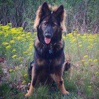 Charlene Grant Photo 10