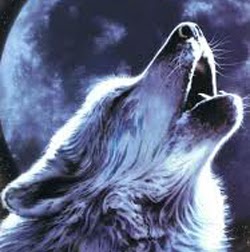 Michelle Cummins Photo 15