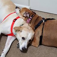 Patrick Barber Photo 39 Patrick Barber Photo 39