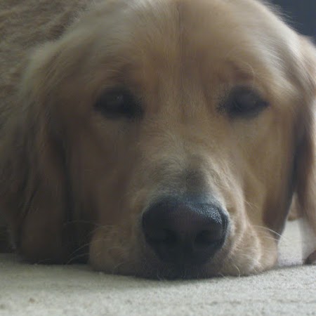 John Winslow Photo 29