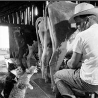 John Richter Photo 37 John Richter Photo 37