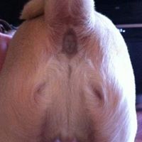 Jared Stevenson Photo 30