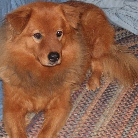 Diane Matthews Photo 20