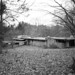 Dorothy Wright Photo 27