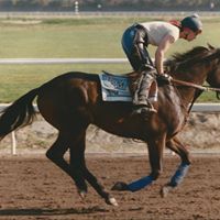 Julie Baker Photo 15