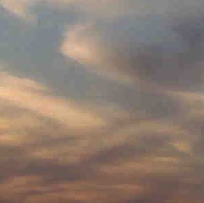 Elizabeth Easley Photo 28