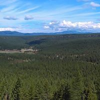 Clifford Phillips Photo 33