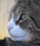 Paul Rogers Photo 2 Paul Rogers Photo 2