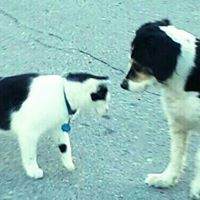 Larry Morris Photo 45