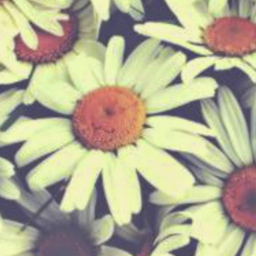 Leah Jenkins Photo 6