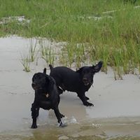 Michelle Hodges Photo 25