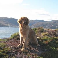 Brian Welsh Photo 40