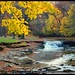 Lawrence Miles Photo 6