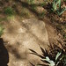 Perry Arnold Photo 31