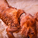 Jack Shook Photo 20