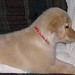 Sandy Jacobs Photo 33
