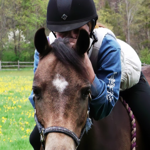 Danielle Boucher Photo 14